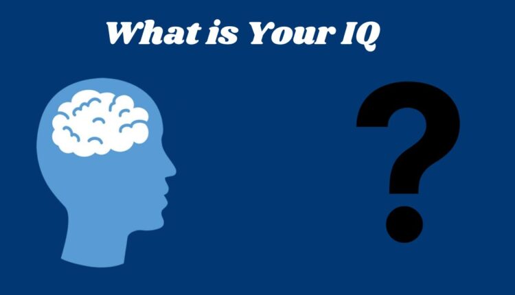اختبار الذكاء ستتعرف به على مستوى ذكائك في دقائق .